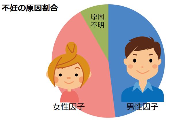 アートクリニック産婦人科 栄町 福島 福島市 産婦人科 不妊症の原因